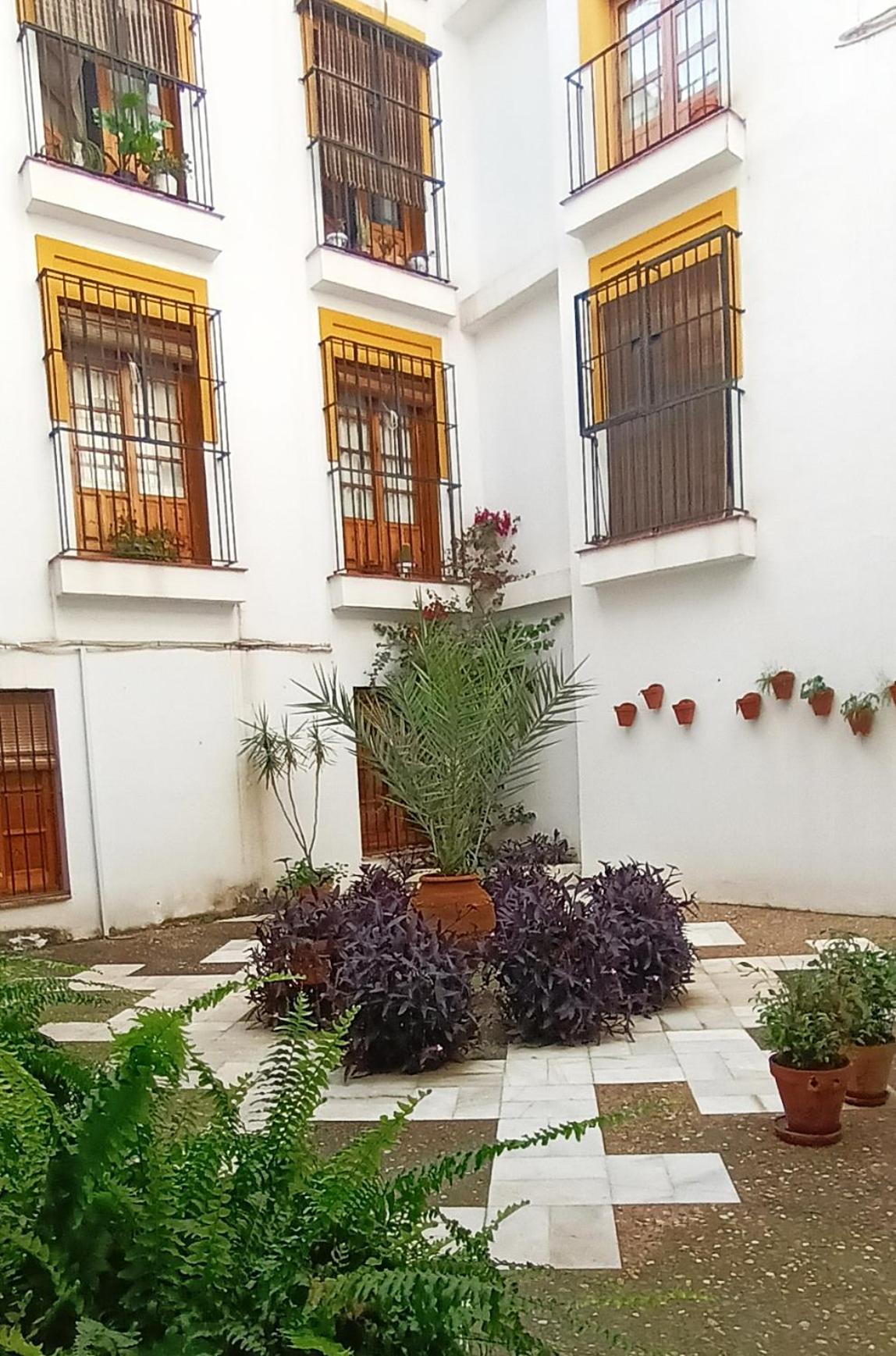 Historia Y Tradicion - Sevilla Desde Dentro. Exterior photo